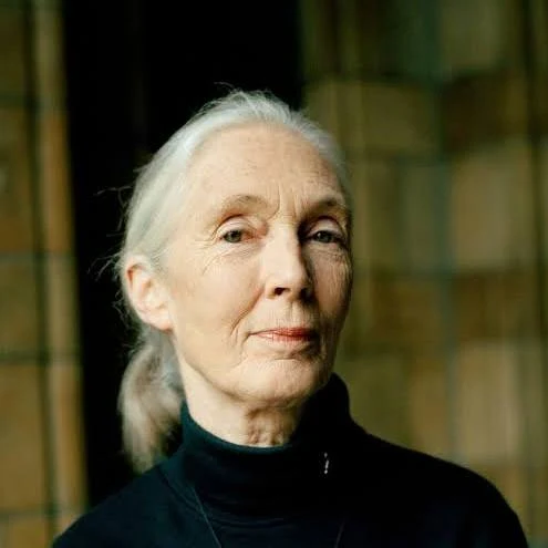 Jane Goodall