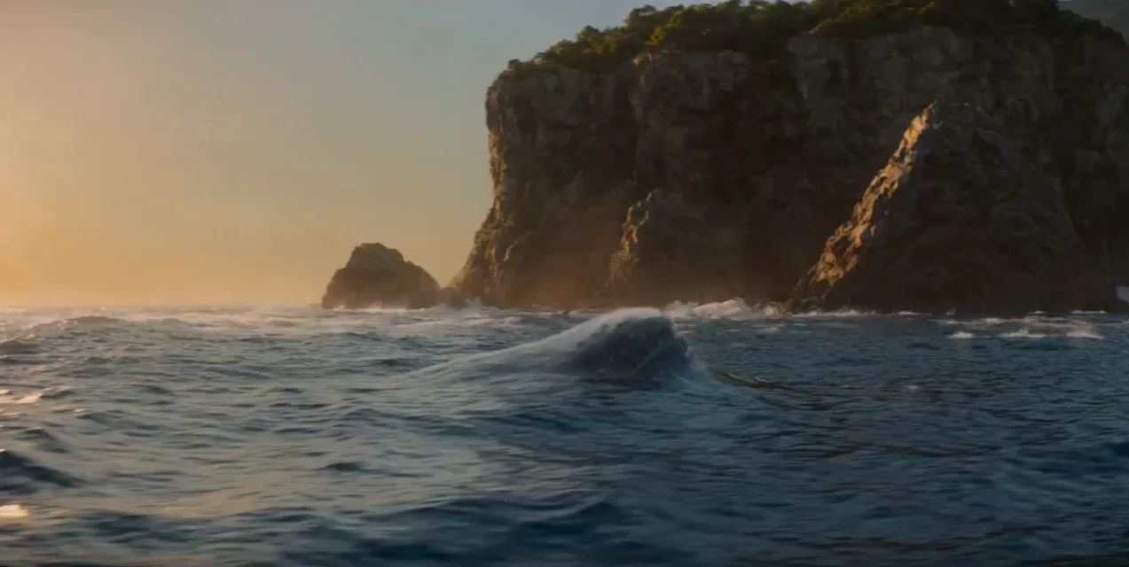 Product Ads & Agencies