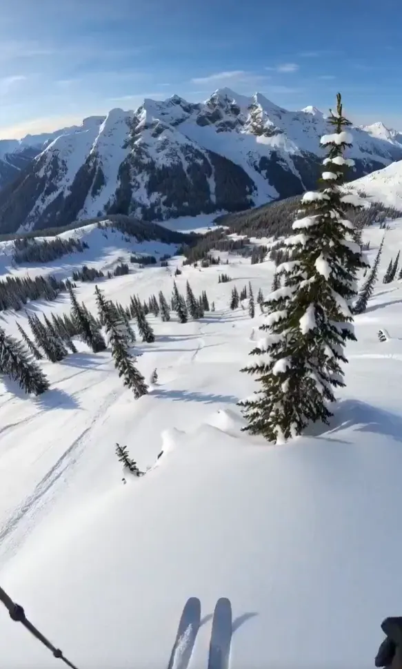 Campaign storyboard preview